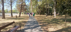 490852366 1126209516208540 1742291789828660875 n 